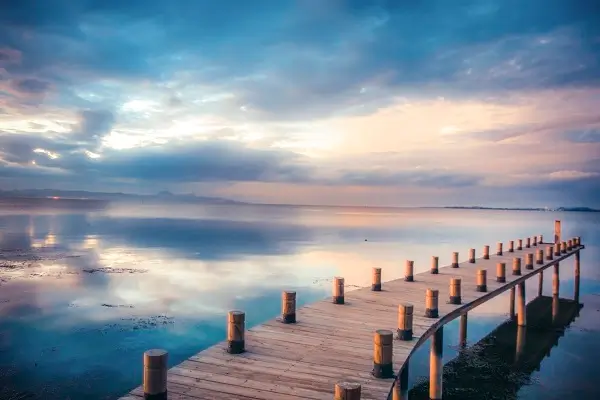 有代表性的及含义